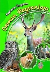 Orman Hayvanları - Hayvanları Tanıyorum - 1