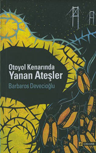 Otoyol Kenarında Yanan Ateşler - 1