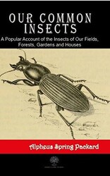 Our Common Insects - 1