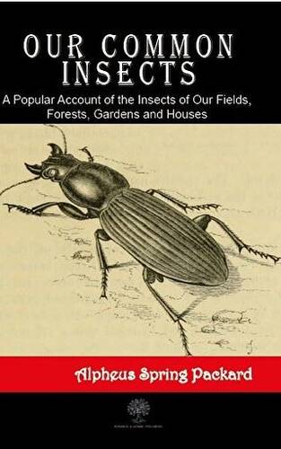 Our Common Insects - 1