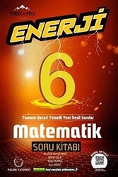 Palme 6. Sınıf Enerji Matematik Soru Kitabı - Palme Yayınları