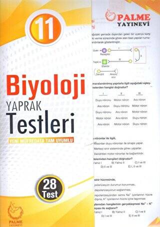 Palme Yaprak Test 11. Sınıf Biyoloji - 1
