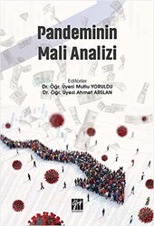 Pandeminin Mali Analizi - 1