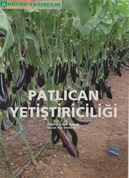 Patlıcan Yetiştiriciliği - 1