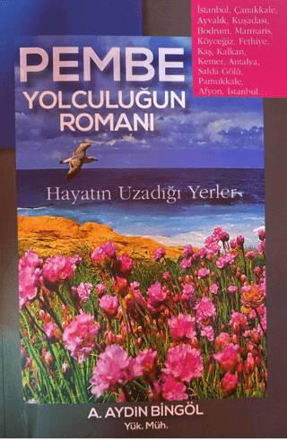 Pembe Yolculuğun Romanı - 1