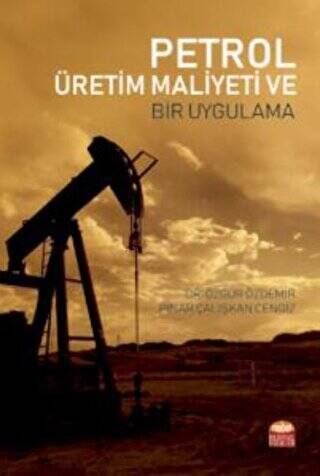 Petrol Üretim Maliyeti ve Bir Uygulama - 1