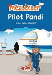 Pilot Pandi - 1