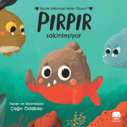 Pırpır Sakinleşiyor - Uçan Fil Yayınları
