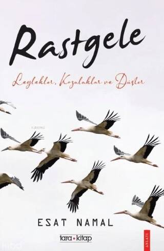 Rastgele; Leylekler, Kozalaklar ve Düşler - 1