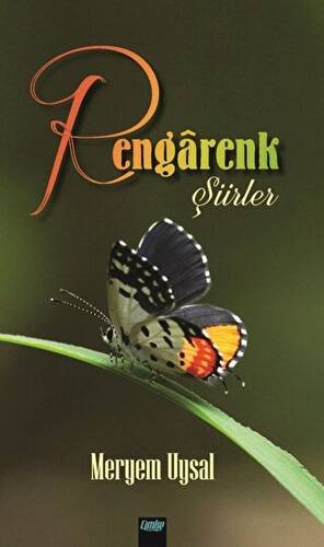 Rengarenk Şiirler - 1