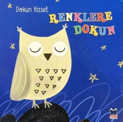 Dokun Hisset - Renklere Dokun - Net Çocuk Yayınları