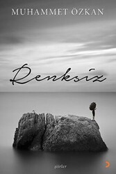 Renksiz - 1
