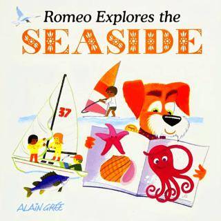 Romeo Explores The Seaside - 1