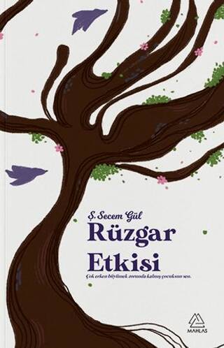 Rüzgar Etkisi - 1