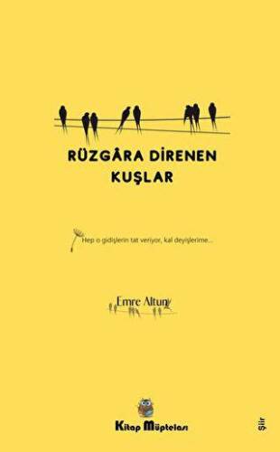Rüzgara Direnen Kuşlar - 1