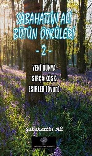 Sabahattin Ali Bütün Öyküleri 2 - 1