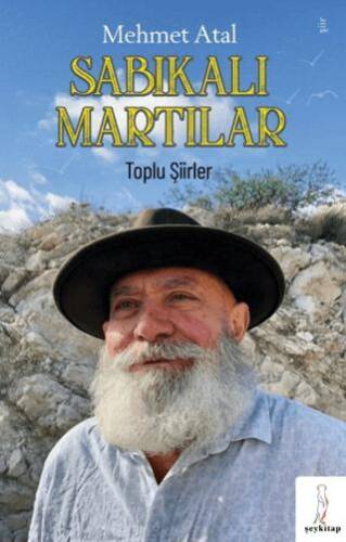 Sabıkalı Martılar - 1