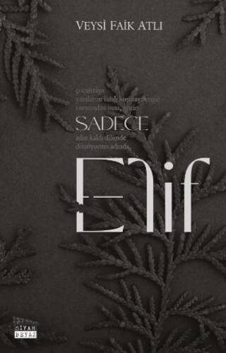 Sadece Elif - 1