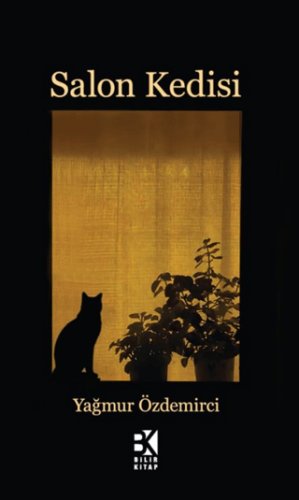 Salon Kedisi - 1