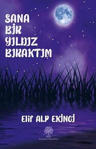 Sana Bir Yıldız Bıraktım - 1