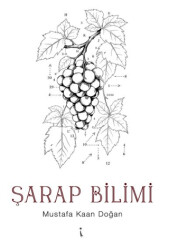 Şarap Bilimi - İkinci Adam Yayınları