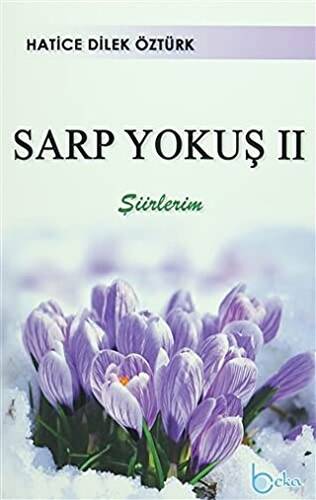 Sarp Yokuş 2 - 1