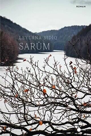 Sarum - 1