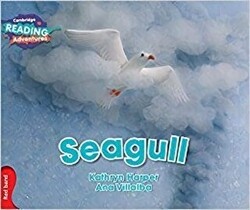 Seagull - 1