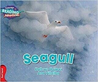 Seagull - 1