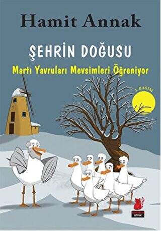 Şehrin Doğusu: Martı Yavruları Mevsimleri Öğreniyor - 1