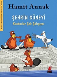 Şehrin Güneyi : Kunduzlar Çok Çalışıyor - Kırmızı Kedi Çocuk