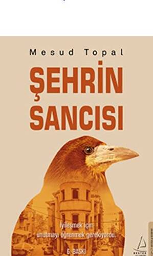 Şehrin Sancısı - 1