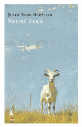 Şeker Renk Herzeler - A7 Kitap