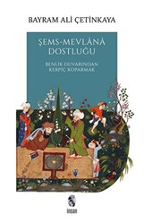 Şems-Mevlana Dostluğu - 1