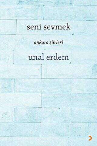 Seni Sevmek - 1