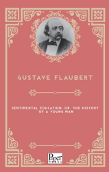 Sentimental Education; Or, The History of a Young Man - Paper Books