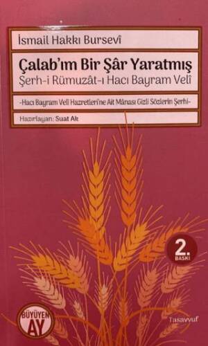 Şerh-i Rümuzat-ı Hacı Bayram Veli - Çalab’ım Bir Şar Yaratmış - 1