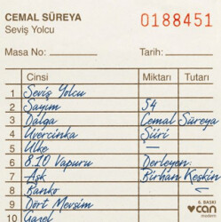 Seviş Yolcu - 1