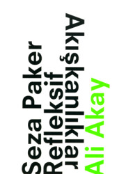 Refleksif Akışkanlıklar - Minör Yayınları