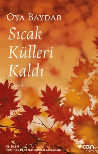 Sıcak Külleri Kaldı - 1