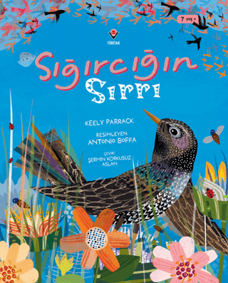 Sığırcığın Sırrı - 1