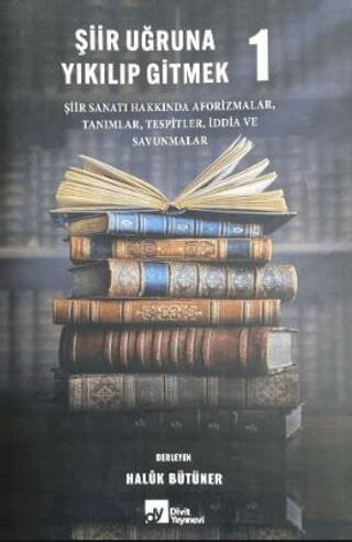 Şiir Uğruna Yıkılıp Gitmek 1 - 1