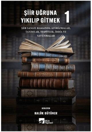 Şiir Uğruna Yıkılıp Gitmek 1 - 1