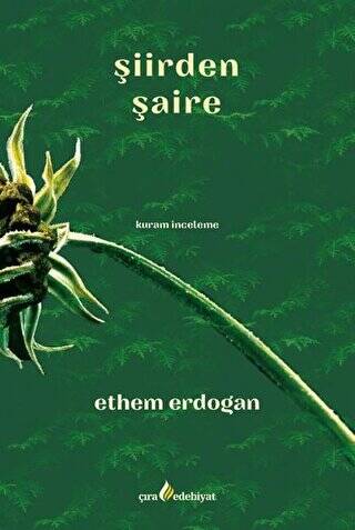 Şiirden Şaire - 1