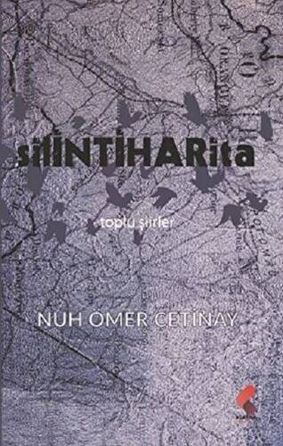 Silinti Harita - 1