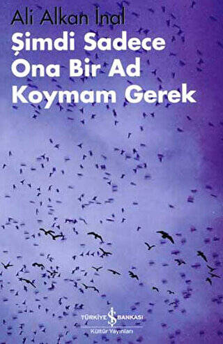 Şimdi Sadece Ona Bir Ad Koymam Gerek - 1