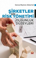 Şirketler İçin Risk Yönetimi - Olgunluk Düzeyleri - 1