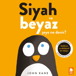 Siyah ve Beyaz Şeye Ne Denir? - 1