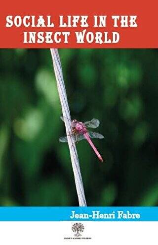 Social Life in the Insect World - 1