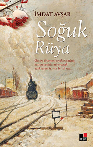 Soğuk Rüya - 1